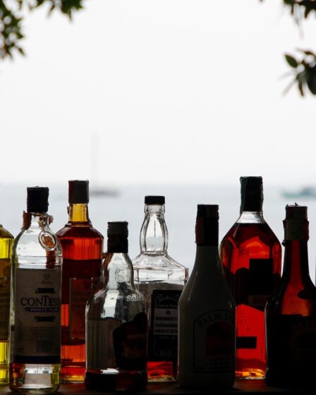 Record de ventes d'alcool norvégien - en Suède 21 Record de ventes d'alcool norvégien - en Suède - 20