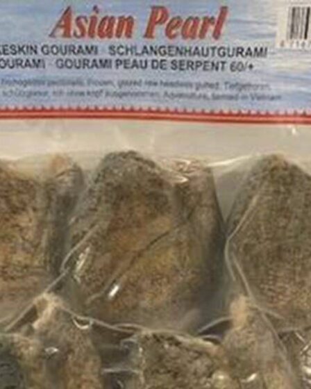 L'Autorité norvégienne de sécurité des aliments retire du poisson congelé asiatique des étagères après la découverte de salmonelles - 24