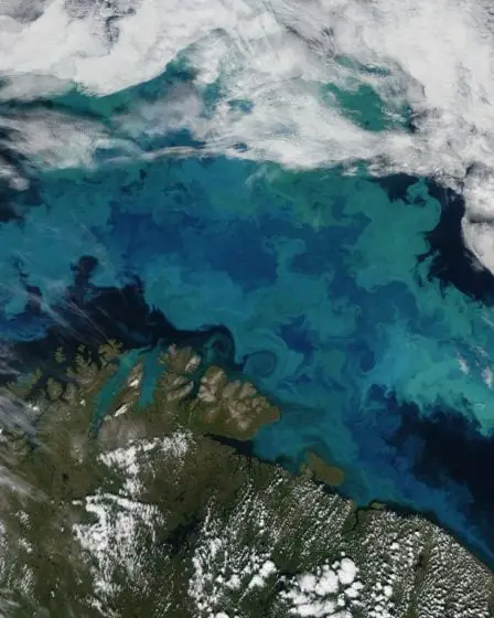 La Direction norvégienne du pétrole double son estimation des ressources pétrolières et gazières non découvertes de la mer de Barents - 13