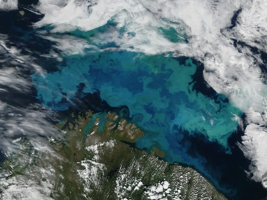 La moitié du pétrole norvégien non découvert se trouve dans la mer de Barents - 3