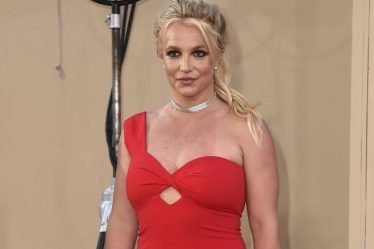 "Free Britney" : manifestation de soutien à Britney Spears annoncée à Oslo - 10