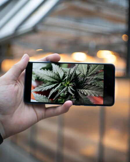 La consommation de cannabis chez les jeunes en Norvège augmente pour la première fois en dix ans 26 La consommation de cannabis chez les jeunes en Norvège augmente pour la première fois en dix ans - 25