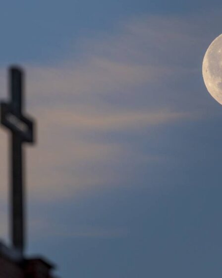 Le nombre de membres de l'Église de Norvège continue de baisser 8 Le nombre de membres de l'Église de Norvège continue de baisser - 7