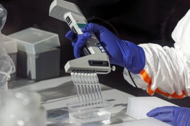 La Norvège obtient 5 millions de tests rapides de coronavirus - 16