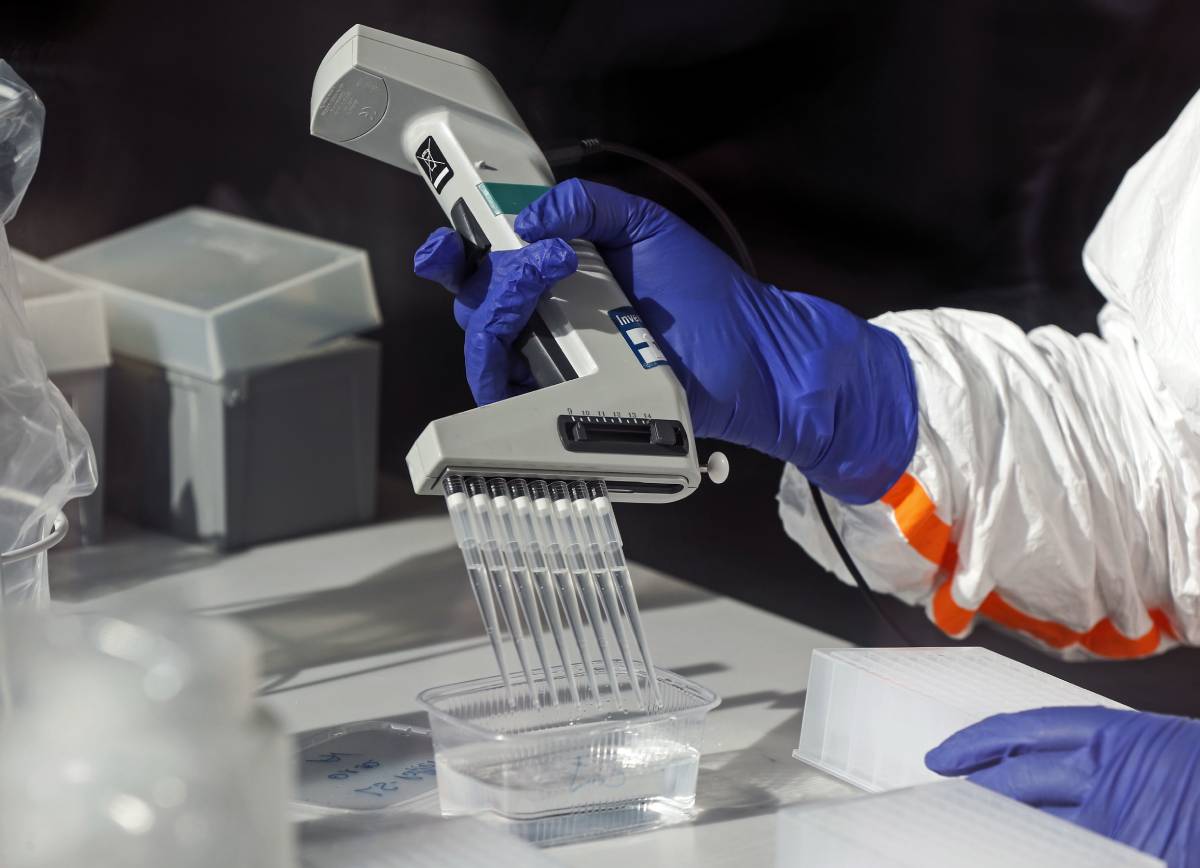 La Norvège obtient 5 millions de tests rapides de coronavirus 4 La Norvège obtient 5 millions de tests rapides de coronavirus - 3