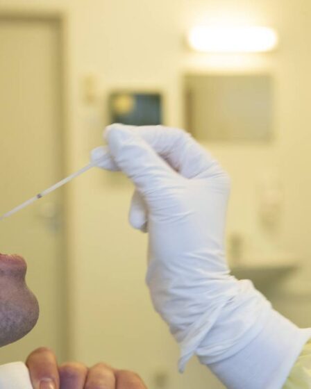 Oslo enregistre 41 nouveaux cas d'infection corona au cours des dernières 24 heures 5 Oslo enregistre 41 nouveaux cas d'infection corona au cours des dernières 24 heures - 4