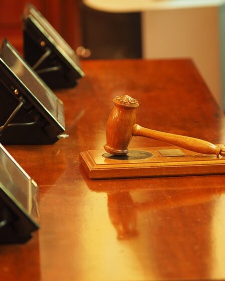 Une adolescente de 17 ans accusée de viol aggravé sur une fillette de moins de cinq ans 2 Une adolescente de 17 ans accusée de viol aggravé sur une fillette de moins de cinq ans - 1