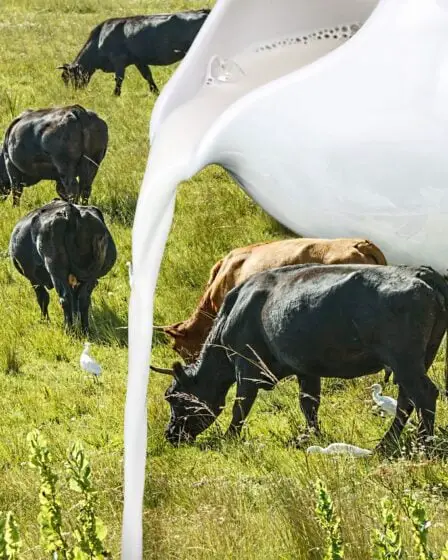 Q milk alertes de surproduction excessive de lait 2 Q milk alertes de surproduction excessive de lait - 1