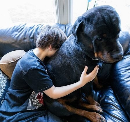 Des vétérinaires rassurent les propriétaires de chiens après la réapparition d'une diarrhée sanglante en Norvège : "Pas de panique" 26 Des vétérinaires rassurent les propriétaires de chiens après la réapparition d'une diarrhée sanglante en Norvège : "Pas de panique" - 25