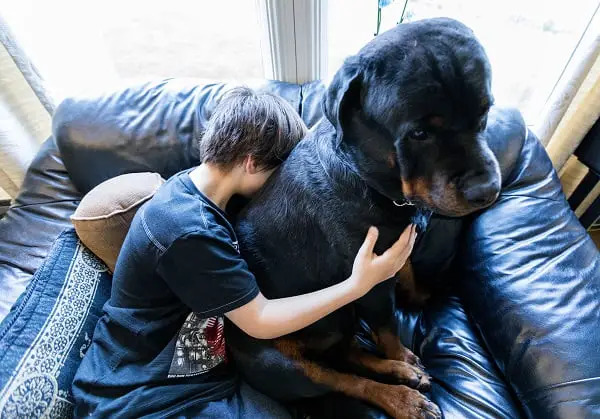 Des vétérinaires rassurent les propriétaires de chiens après la réapparition d'une diarrhée sanglante en Norvège : "Pas de panique" - 3