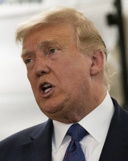 Trump sur Twitter : Nous sommes GROS, mais ils essaient de VOLER l'élection 26 Trump sur Twitter : Nous sommes GROS, mais ils essaient de VOLER l'élection - 25