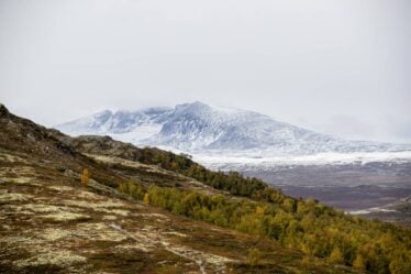 Retour à la nature : la Norvège convertit le champ de tir de l'armée en parc national à Dovrefjell - 19