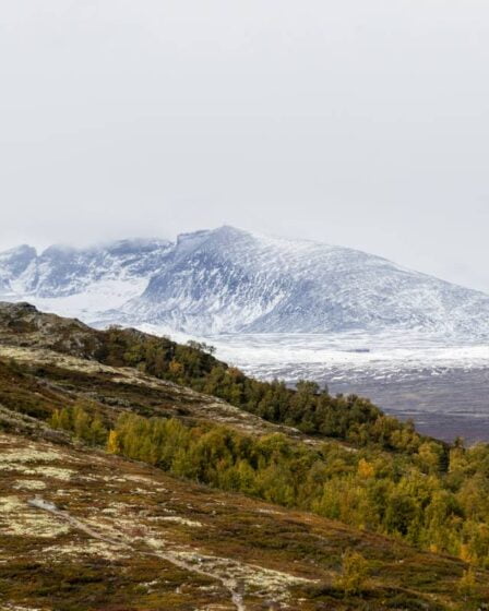 Retour à la nature : la Norvège convertit le champ de tir de l'armée en parc national à Dovrefjell - 25