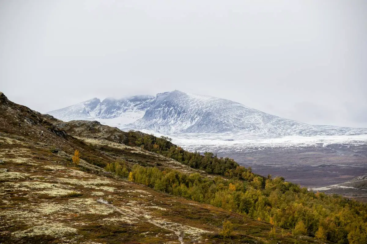 Retour à la nature : la Norvège convertit le champ de tir de l'armée en parc national à Dovrefjell - 3