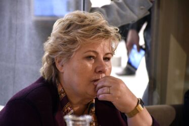 Pas d'exceptions : le Premier ministre norvégien refuse d'ouvrir la frontière avec la Suède - 16