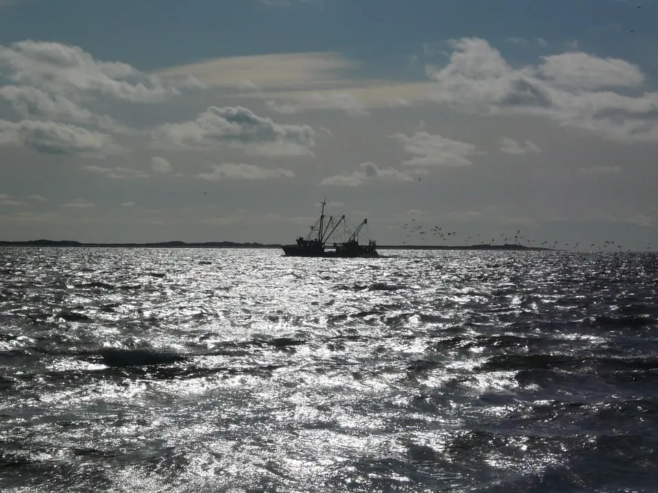 49 millions de NOK d'amendes pour délit de pêche 4 49 millions de NOK d'amendes pour délit de pêche - 3