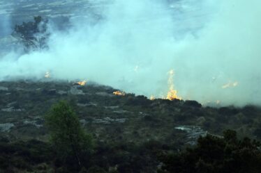 L'incendie de forêt à Sotra n'est toujours pas maîtrisé - 16