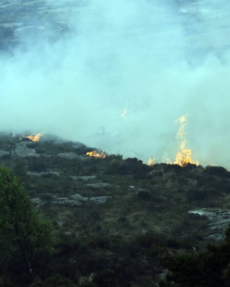L'incendie de forêt à Sotra n'est toujours pas maîtrisé - 28
