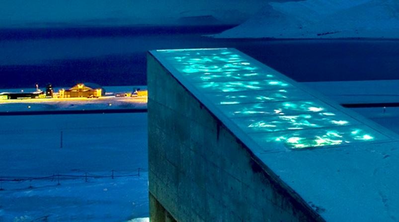 Expérience de 100 ans montrant combien de temps les graines peuvent vivre 4 Expérience de 100 ans montrant combien de temps les graines peuvent vivre - 3