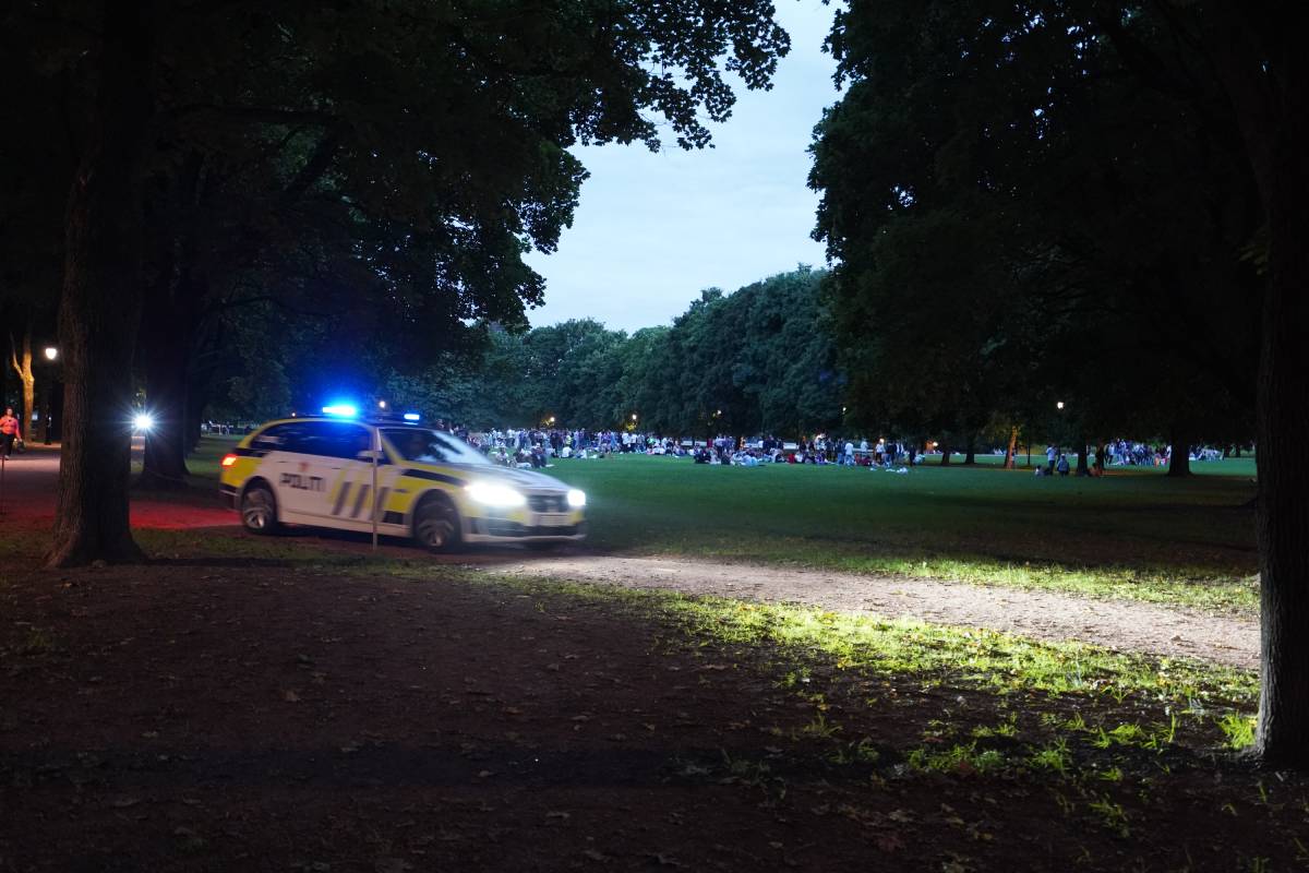 Plusieurs milliers de Norvégiens se sont rassemblés dans les parcs d'Oslo pendant le week-end, provoquant une réponse de la police 4 Plusieurs milliers de Norvégiens se sont rassemblés dans les parcs d'Oslo pendant le week-end, provoquant une réponse de la police - 3