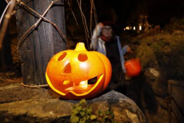 Premier ministre norvégien : voici comment les enfants peuvent célébrer un Halloween en toute sécurité - 20