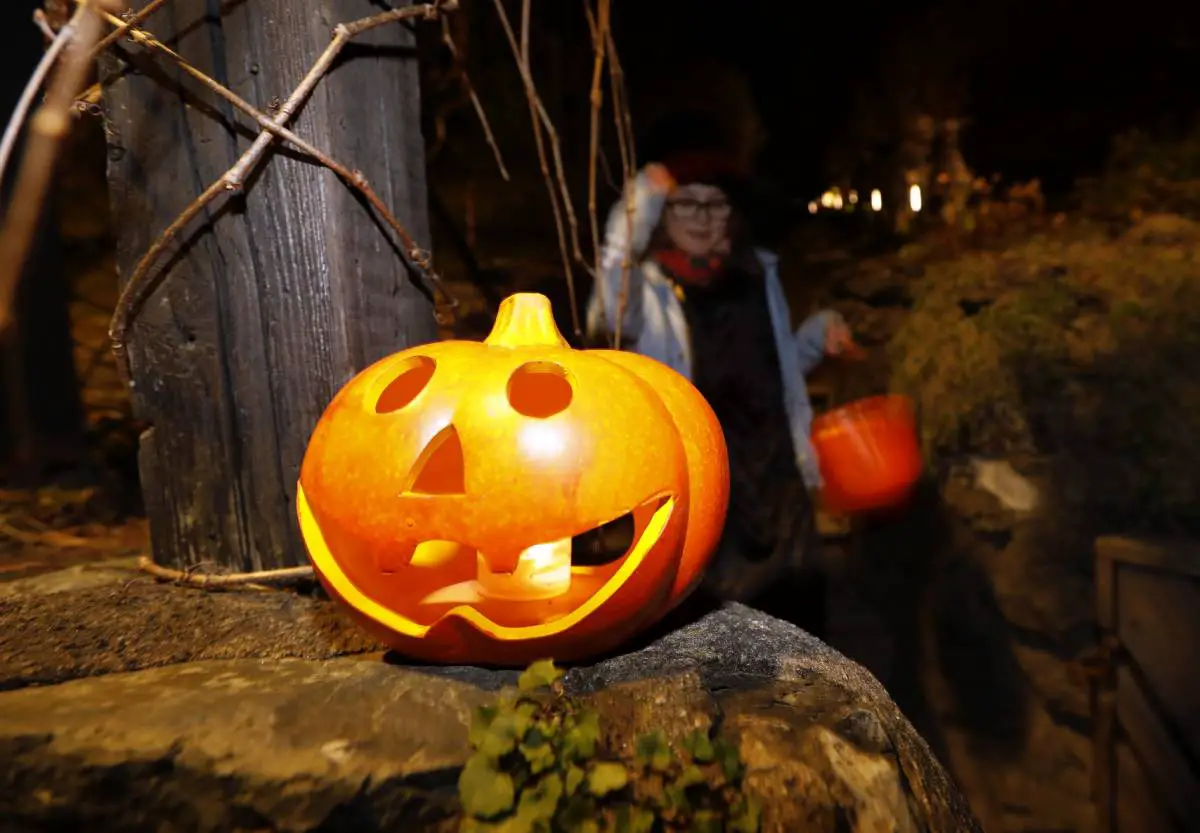 Premier ministre norvégien : voici comment les enfants peuvent célébrer un Halloween en toute sécurité 4 Premier ministre norvégien : voici comment les enfants peuvent célébrer un Halloween en toute sécurité - 3