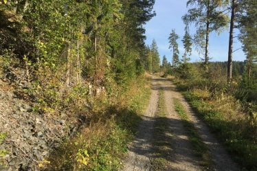 Statskog vend plusieurs propriétés forestières - 16