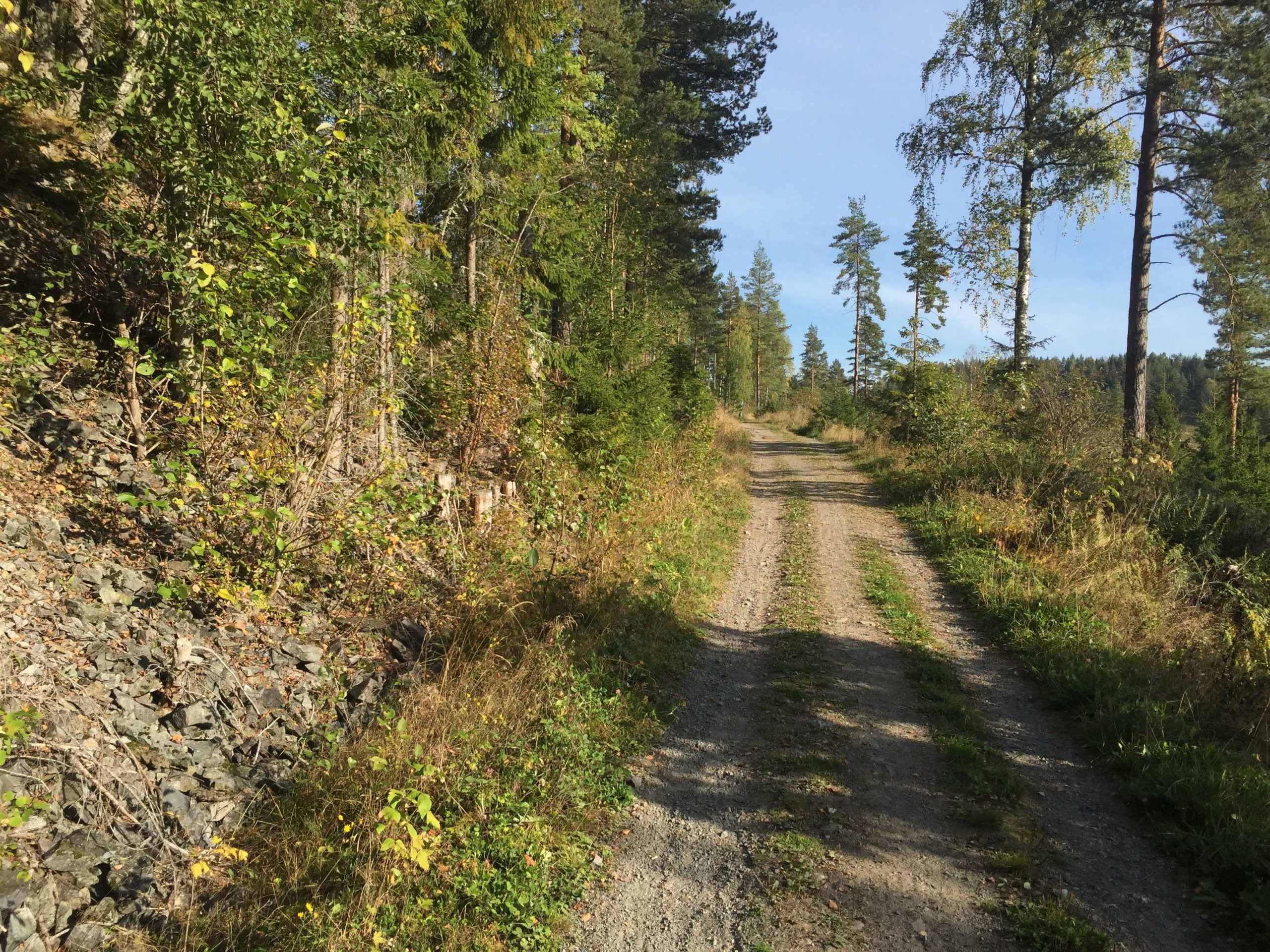 28 zones forestières protégées - Norway Today 4 28 zones forestières protégées - Norway Today - 3