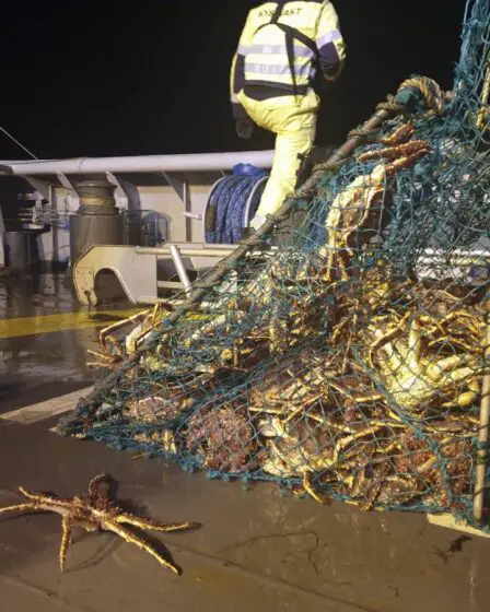 Les garde-côtes mènent une opération majeure contre la pêche illégale au crabe royal à Porsangerfjord - 4