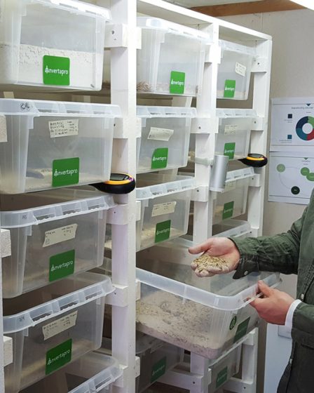 Fait pousser les larves pour nourrir les poissons 5 Fait pousser les larves pour nourrir les poissons - 4