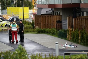 La mère accusée est emprisonnée - Norway Today - 16