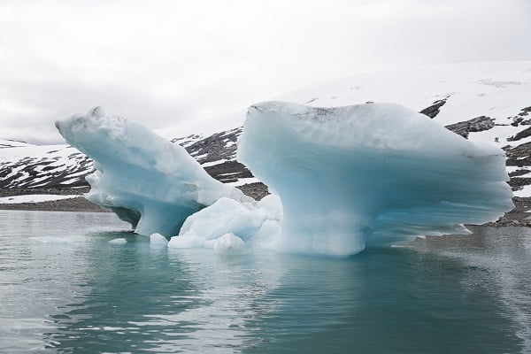 La plupart des Norvégiens ne pensent pas que le coronavirus entraînera un effet climatique durable 4 La plupart des Norvégiens ne pensent pas que le coronavirus entraînera un effet climatique durable - 3