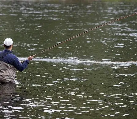 Le gouvernement durcit la pêche touristique 26 Le gouvernement durcit la pêche touristique - 25