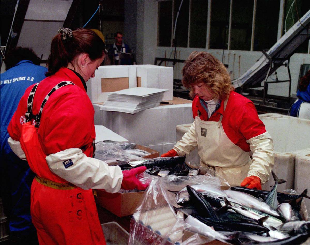 La Norvège établit un quota national pour le maquereau de l'Atlantique du Nord-Est pour 2021 4 La Norvège établit un quota national pour le maquereau de l'Atlantique du Nord-Est pour 2021 - 3