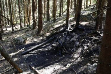 L'affaire de l'incendie du cadavre de Maridalen devrait débuter la semaine prochaine à Oslo - 8
