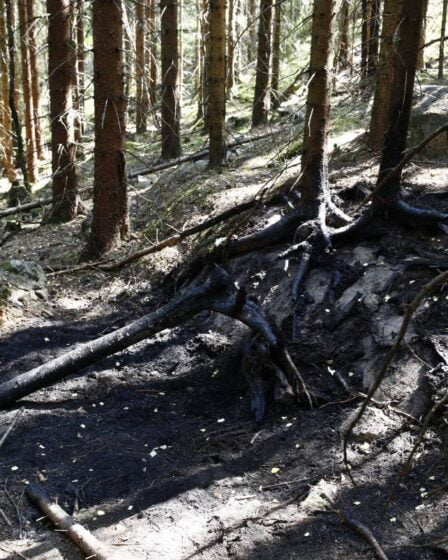 L'affaire de l'incendie du cadavre de Maridalen devrait débuter la semaine prochaine à Oslo 14 L'affaire de l'incendie du cadavre de Maridalen devrait débuter la semaine prochaine à Oslo - 13