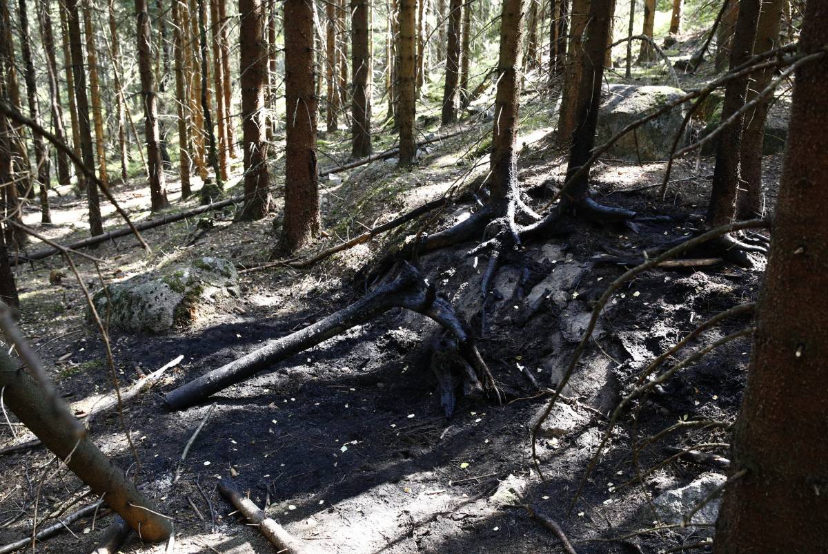 L'affaire de l'incendie du cadavre de Maridalen devrait débuter la semaine prochaine à Oslo 4 L'affaire de l'incendie du cadavre de Maridalen devrait débuter la semaine prochaine à Oslo - 3