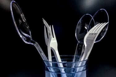 L'Agence norvégienne pour l'environnement recommande d'interdire les produits en plastique jetables d'ici 2021 - 16