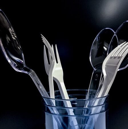 L'Agence norvégienne pour l'environnement recommande d'interdire les produits en plastique jetables d'ici 2021 17 L'Agence norvégienne pour l'environnement recommande d'interdire les produits en plastique jetables d'ici 2021 - 16