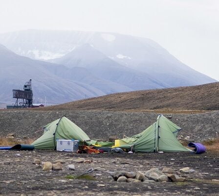 Un homme est mort à la suite d'une attaque d'ours polaire 11 Un homme est mort à la suite d'une attaque d'ours polaire - 10