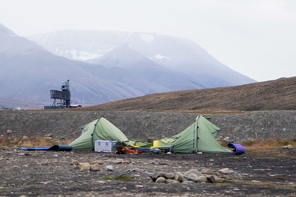 Un homme est mort à la suite d'une attaque d'ours polaire 4 Un homme est mort à la suite d'une attaque d'ours polaire - 3