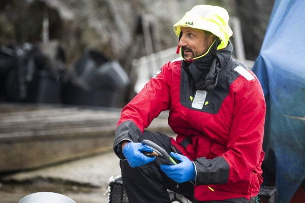 Le prince héritier a visité l'Institut de recherche marine à l'occasion de la Journée mondiale de l'environnement 4 Le prince héritier a visité l'Institut de recherche marine à l'occasion de la Journée mondiale de l'environnement - 3