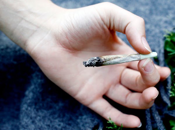 Le séchage du hasch augmente la culture domestique 4 Le séchage du hasch augmente la culture domestique - 3