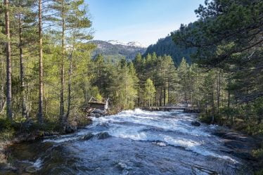 Approchant les 30 degrés dans les endroits les plus chauds cette Pentecôte - 18