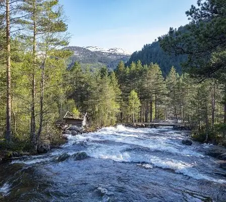 Approchant les 30 degrés dans les endroits les plus chauds cette Pentecôte 20 Approchant les 30 degrés dans les endroits les plus chauds cette Pentecôte - 19