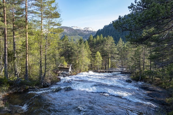 Approchant les 30 degrés dans les endroits les plus chauds cette Pentecôte 4 Approchant les 30 degrés dans les endroits les plus chauds cette Pentecôte - 3