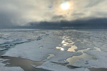 Les climatologues ont atteint le pôle Nord à bord d'un brise-glace - 18