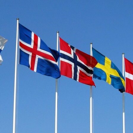 Les pays nordiques unis contre le crime organisé de pêche - 20