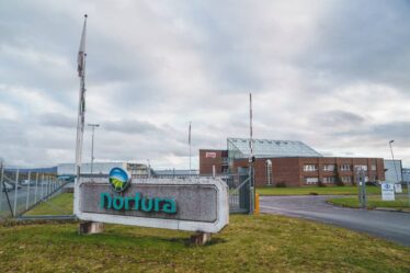 Nortura appelle à davantage d'inspections inopinées de l'Autorité de sécurité alimentaire dans les élevages porcins norvégiens - 16