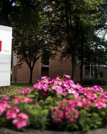 L'Autorité norvégienne de sécurité des aliments s'inquiète des achats de plantes à l'étranger 17 L'Autorité norvégienne de sécurité des aliments s'inquiète des achats de plantes à l'étranger - 16